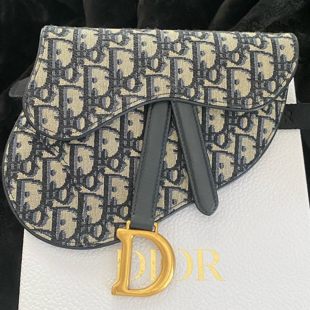 Christian Dior belt bag